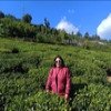 Vromontori Tours and Travels